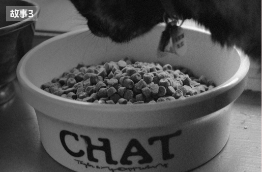 猫饭故事3-70年至今的膨化粮